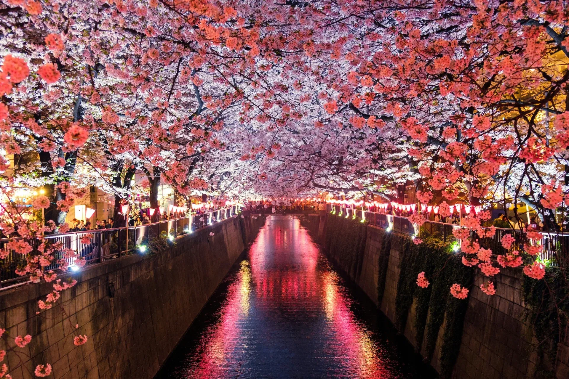 7-Day Japan Photography Itinerary: The Most Photogenic Spots from Tokyo to Miyajima